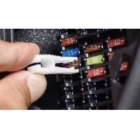 ราคา ฟิวส์รถยนต์ Fuse Standard ของแท้จากญี่ปุ่น ฟิวส์ติดรถToyota ฟิวส์มอเตอร์ไซค์ ฟิวส์มาตรฐาน 12v 24v ฟิวส์สำรองสำหรับรถยนต์ ขนาด 2A 5A 7 5A 10A 15A 20A 25A 30A (19703132753)