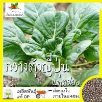 ราคา เมล็ดพันธุ์ กวางตุ้งญี่ปุ่น แทตฉ่อย 150 เมล็ด Tatsoi seed เมล็ดพันธุ์แท้ นำเข้าจากต่างประเทศ ปลูกผัก สวนครัว โตไว (7150022030)