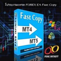 ราคา โปรแกรมเทรด FOREX EA Fast Copy MT4 MT5 (17446235638)