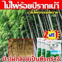 ราคา ไม้ไผ่ร้อยปีรากเน่ารากไม่ขึ้นอีก ยาฆ่ากอไผ่ สารกําจัดกอไผ่ 500g ผงกำจัดกอไผ่ เฮกซาซิโนน 5 ยาฆ่าไม้ไผ่ ฆ่าไม้ไผ่ทุกชนิดได้ง่ายๆ ไม่ทำร้ายดิน เม็ดกำจัดต้นไม้ ผงกำจัดต้นไผ่ ยาฆ่าไผ่ ยากำจัดกอไผ่ กำจัดกอ 