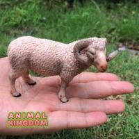 ราคา Animal Kingdom โมเดล Sheep แกะ ขนาด 9 00 CM จากสงขลา (16840614995)
