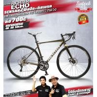 ราคา จักรยานเสือหมอบ RICHTER รุ่น ECHO เฟรม Aluminium ซ่อนสาย ดีสเบรค นน 9 9 กก (19079847222)