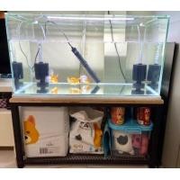 ราคา โต๊ะกลาง วาง TV วางของ วางตู้ปลา 4010040TA002 (10314234074)