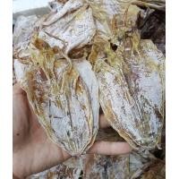 ราคา หมึกกล้วยผ่าแบน G4 ขาวสวย เกรดA เนื้อหวานไม่เค็ม น้ำหนัก100กรัม200กรัม500กรัม กัลยาปลาหมึกแห้ง (12490903594)