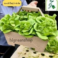 ราคา กระเช้าใหญ่ กระเช้าใส่ผัก กระเช้ากระดาษ กระเช้าปีใหม่ เป็นกล่องกระดาษลายไม้สัก นิยมสุด ให้ราคาถูก (20999010687)