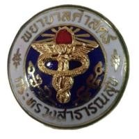 ราคา เข็มพยาบาลศาสตร์ เข็มกลัด เข็มพยาบาล พยาบาล พยาบาลศาสตร์ (20909742357)