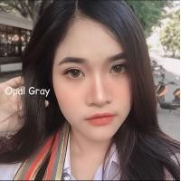 ราคา Opal gray บิ๊กอายส์ตาโตฉ่ำวาว (6711438126)