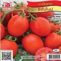 ราคา เมล็ดพันธุ์ มะเขือเทศ เจียไต๋ ตราเครื่องบิน F 1 Hybrid ผักสวนครัว เมล็ดผัก เมล็ดพันธุ์พืช เมล็ดพันธุ์ผัก เมล็ดผลไม้ มะเขือเทศสีดา AK (12268790284)
