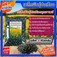 ราคา ส่งฟรี เมล็ดพันธุ์ปอเทือง แพ็ค 3 กิโลกรัม ดอกปอเทือง พืชบำรุงดิน ให้ปุ๋ยอินทรีย์ เมล็ดปอเทือง ปอเทือง ดอกเหลือง เมล็ดพันธุ์คุณภาพดี (12329141894)