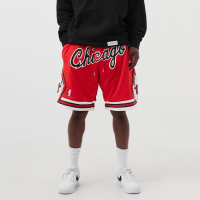 ราคา กางเกงบาสเก็ตบอล NBA กีฬาบาสเกตบอลชิคาโกทีมรีลปัก Retro ปักกระเป๋าคู่ซิปกางเกงบาสเก็ตบอลสไตล์อเมริกันหลวมกีฬาวิ่งแข่งกางเกงบาสเก็ตบอล (19141531048)