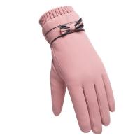 ราคา Winter Windproof Women Gloves Internal Plush Warm Touch Screen Skin friendly Soft Gloves (10803122108)