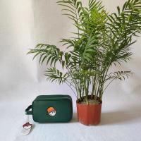 ราคา ใหม่กระเป๋ากอล์ฟ MALBON ชาวประมงกระเป๋าลำลองผู้หญิงสองชั้นอเนกประสงค์กระเป๋าเล็กกอล์ฟ Joy lindeberg DESCENTE PEARLY GATES ANEW Footฟื้นสิก (19753644547)