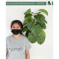 ราคา ต้นไม้ปลอม ต้นไม้ประดิษฐ์ ต้นว่านเสน่ห์จันทร์เขียวปลอมติดผนัง พร้อมกระถางติดผนัง ไม่ต้องเจาะผนัง (7632978227)