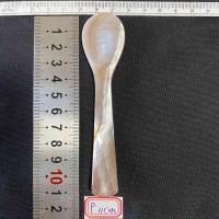 ราคา ช้อนเปลือกหอยมุกธรรมชาติ mask caviar dessert spoon 7 16cm (21134469188)