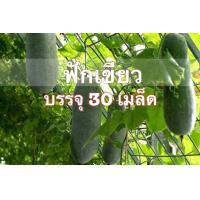ราคา เมล็ดพันธุ์ แฟง ฟักเขียว 100 เมล็ด Fang ฟักแฟง 10 เเถม 1 คละได้ (12530656003)
