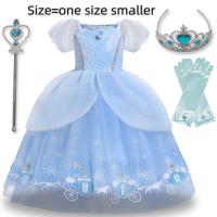 ราคา ชุดเดรสเจ้าหญิงเอลซ่า เบลล์ เจ้าหญิงเอลซ่า เจ้าหญิงเอลซ่า สโนว์ไวท์ เจ้าหญิงเอลโล่ สวยงาม เจ้าชายอสูร คอสเพลย์ คริสต์มาส ปาร์ตี้วันเกิด สําหรับเด็กผู้หญิง (20471473995)