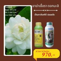 ราคา มะลิใบจุด โรคแอนแทรคโนสมะลิ มะลิใบแห้ง มะลิใบไหม้ มะลิใบเหลือง กำจัดโรคดอกมะลิ จากเชื้อราต่างๆ ปลอดสารพิษ ไอเอส และ FK T ใช้ได้ทุกพืช โด (16230533385)