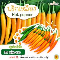ราคา เมล็ดพันธุ์พริกเหลือง จำนวน 90 เมล็ด อัตราการงอก95 ปลูกง่าย โตไว มีของแถมเป็นเมล็ดผักกวางตุ้งทุกออเดอร์ (12254328584)