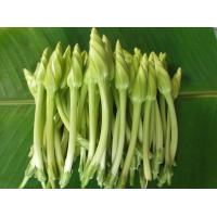 ราคา เมล็ดพันธ์ุ ดอกชมจันทร์ เมล็ดดอกชมจันทร์ 40 เมล็ด 10 แถม 1 คละได้ (10731089831)