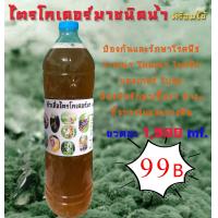ราคา ไตรโคเดอร์มา แบบน้ำ 1 5 L เชื้อไตรโคเดอร์มา เชื้อราไตรโคเดอร์มา กำจัดโรคเชื้อรา หัวเชื้อไตรโคเดอร์มา ราคาถูก (10571666001)