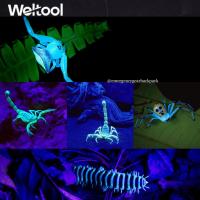 ราคา Weltool M2 UV365nm Flashlight (4134274576)