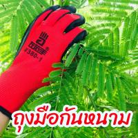 ราคา ถุงมือกันหนาม ถุงมือทำสวน ถุงมือกันหนามชะอม ถุงมือปลูกกระบองเพชร ถุงมือกันหนามแคคตัส ถุงมือกันลื่น homes (4160962654)