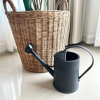 ราคา บัวรดน้ำ 2 ลิตร เกรดพรีเมียม 1 ใบ เหมาะแต่งบ้านมินิมอล มูจิ พลาสติกหนา ขึ้นรูปทั้งใบ ฝักบัวถอดออกได้ แข็งแรงทนทาน แต่งบ้านได้ (18215237886)