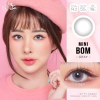 ราคา คอนแทคเลนส์ Mini Bom Gray Brown ยี่ห้อ Kitty kawaii ค่าสายตาปกติ 1000 (16285871866)