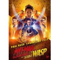 ราคา SET B หนัง DVD ออก ใหม่ รวมหนัง DVD Marvel 24 แผ่น ถึงล่าสุด Black Widow เสียง ไทย อังกฤษ ซับ ไทย อังกฤษ DVD ดีวีดี หนังใหม่ (19928567592)