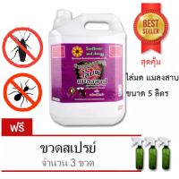 ราคา ไล่มดและแมลงสาบ 5 ลิตร Sunflower and Doogy สเปรย์สมุนไพร ฟรี ขวดสเปรย์เปล่า 3 ขวด (2475544668)