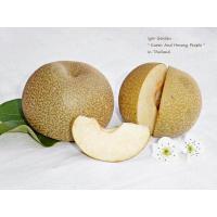 ราคา สาลี่หิมะ Yokohama wase Asain Pears กิ่งตอน (4498710548)