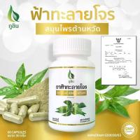 ราคา ฟ้าทะลายโจร อภัยภูเบศร 500 มก 60แคปซูล มีแอนโดรกราโฟไลท์ 10mg ของแท้ S0063 (20043312859)