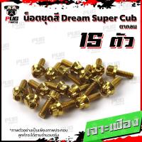ราคา น็อตชุดสีดรีมดรีม110i ปี 2018 1ชุด 15 ตัว น๊อตชุดสีDreamDream110iSuper Cub ตากลม น็อตเฟรมดรีม น็อตดรีม น็อตสแตนเลส (17456115757)