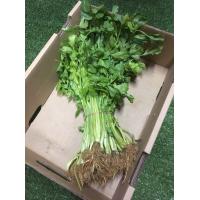 ราคา ขึ้นฉ่ายสด ขึ้นช่ายสด คื่นฉ่าย หอม ใช้ทำอาหารอร่อย (8872243814)