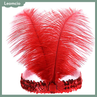 ราคา Leomcio ที่คาดผมประดับเลื่อมคริสตัลขนนกอินเดียเครื่องประดับผมแฟชั่นแบบอินเดียสำหรับปาร์ตี้วันหยุด (20888066072)