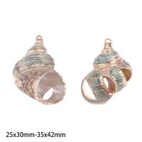 ราคา 2ชิ้นจี้เปลือกหอยที่สวยงามและสวยงามเปลือกหอยธรรมชาติตัวเชื่อมต่อเปลือกหอยสำหรับเครื่องประดับสร้อยคอทำ DIY จี้สร้อยข้อมือ (17288815559)