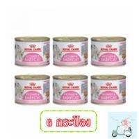 ราคา Royal Canin BabyCat 195 g x 6 กระป๋อง (4898444983)