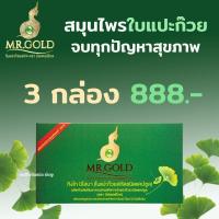 ราคา MR GOLD มิสเตอร์โกล ใบแปะก๊วยสกัด ชนิดแคปซูล กิงโก บิโลบา เหมาะสำหรับผู้ที่ ปวดเช่า ปวดเมื่อย ปวดหลัง เก๊าท์ เหน็บชา กระดูกทับเส้น 1 กล่อง (19847279988)