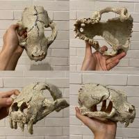 ราคา กะโหลกสัตว์ ตกแต่งตู้สัตว์เลื้อยคลาน ถ้ำซ่อนตัวสำหรับตุ๊กแก เก็คโค งู ตะขาบ แมงป่อง ตู้ปลา (17460360654)