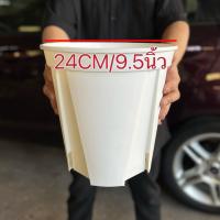 ราคา กระถางทรงสูง สายเขียว กระถางต้นไม้ทรงสูงสีเขียว กระถางต้นไม้พลาสติก กระถางแคคตัส กระถางญี่ปุ่น QS (17203350641)