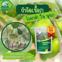 ราคา กำจัดเชื้อรา สาเหตุของโรคราดำ ใน พุทรา ไตรโคเดอร์มา ไตรโคเร็กซ์ ปลอดภัยต่อคนและสัตว์เลี้ยง (17376260846)