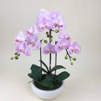 ราคา กระถางกล้วยไม้ประดิษฐ์ กล้วยไม้ปลอมพร้อมกระถาง ดอกไม้ปลอมตกแต่งบ้าน (17499490867)