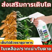 ราคา แบบไม่เจือจาง LPP ฮอร์โมนทางใบ ปุ๋ยเกล็ดทางใบ โฮโมนบำรุงพืช 500ML แคลเซียมโบรอน สารจับใบ ปุ๋ยเกล็ด ปุ๋ยน้ำ ทางใบ สาหร่ายอะมิโน ฮิวมิคทุเรียน ปุ๋ยทางใบ แมกนีเซียม พืช ฮอร์โมนข้าว ฮอร์โมนพืช ฮอร์โมนข้าว