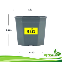 ราคา กะถางต้นไม้ กระถาง กระถางต้นไม้พลาสติก กระบองเพชร 3 นิ้ว กระถาง 8 เหลี่ยม สีเทา 50 ใบ (18283220803)