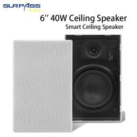 ราคา 6 นิ้ว 40W สองทิศทางลำโพงเพดานรูปสี่เหลี่ยมผืนผ้าระบบโฮมสเตอริโอลำโพงเสียงประกาศสาธารณะระบบเพลงลำโพงชิ้นเดียว (17108740213)
