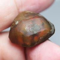 ราคา 29 95 ct ก้อนโอปอล Rought Opal เอธิโอเปีย เหลือบรุ้ง (20451529763)