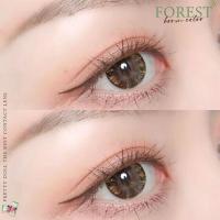 ราคา คอนแทคเลนส์ รุ่น Forest ยี่ห้อ Pretty doll ตาโต มีสี เทา ตาล มีค่าสายตา (18462112212)