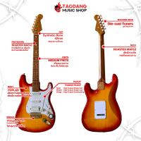 ราคา ทักแชทรับส่วนลด 500 MAX Mclorence STR 200 สี Cream Cherry Burst กีต้าร์ไฟฟ้า Mclorence STR 200 Electric Guitar ฟรีของแถม พร้อม SETUP และ QC แท้100 ส่งฟรี เต่าแดง (20969925913)