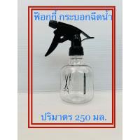 ราคา กระบอกฉีดน้ำ ฟ๊อกกี้ ปริมาตร250มล (19297329294)