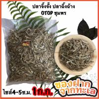 ราคา ปลาจิ้งจั้ง ปลาฉิ้งฉ้าง ปลาเล็กปลาน้อยจากทะเลจ ชุมพรไซส์4 5ซ ม OTOP 1 ก ก (762122772)